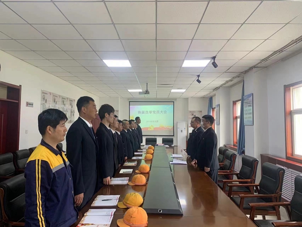 1652165547764490.jpg 支部换届.jpg