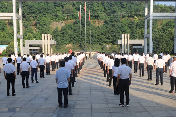 1656647329192763.jpg IMG_5690.JPG