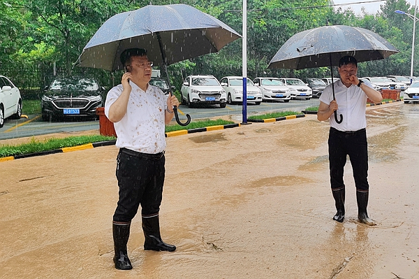 1690697352429069.jpg 11.jpg