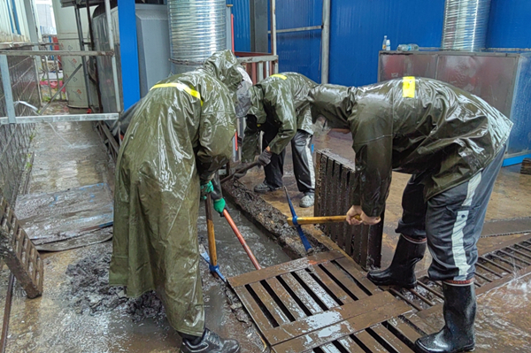 1690697364155963.jpg 22.jpg