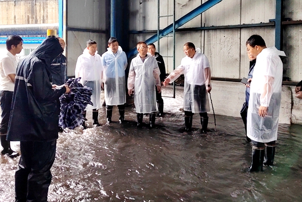 1690699521116669.jpg 5.jpg